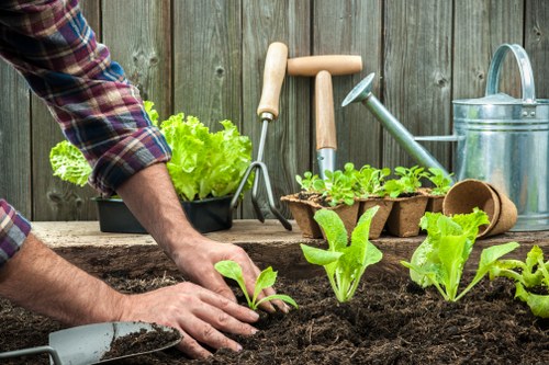 Front garden composting and green waste collection in Balham
