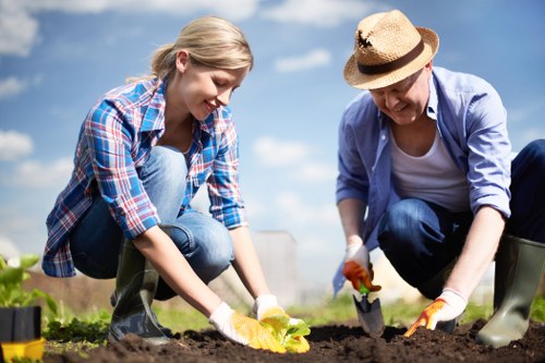 Landscape gardening and quotation planning for Balham gardens