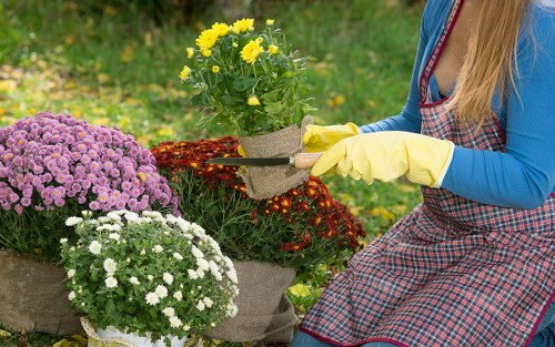 Garden workers sorting plant cuttings for recycling